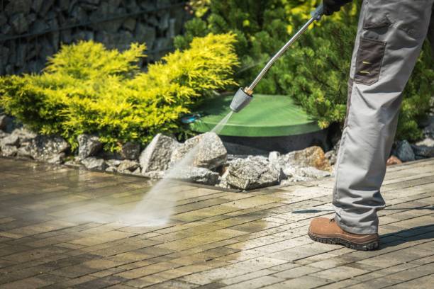 Best Animal Enclosure Cleaning  in Thomasville, NC